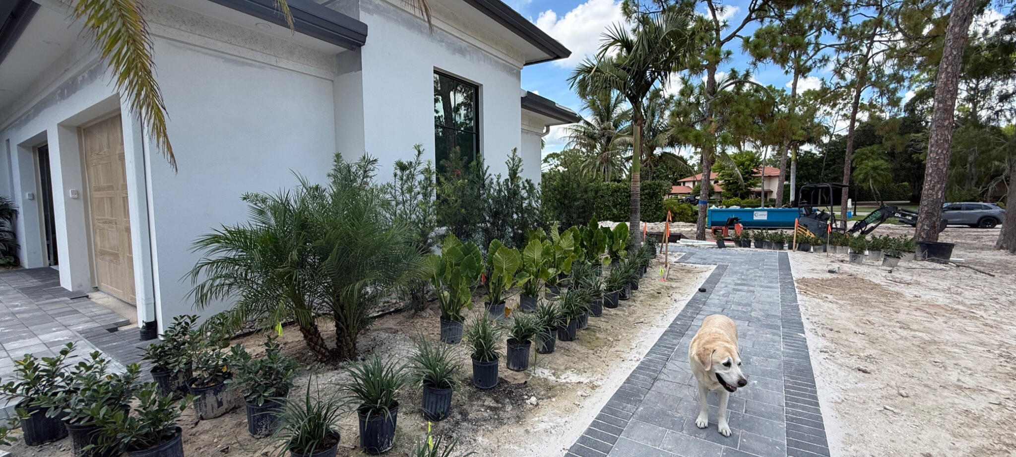 Lush, layered landscapes with a polished South Florida sensibility.
